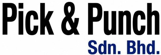 pickpunch.xyz